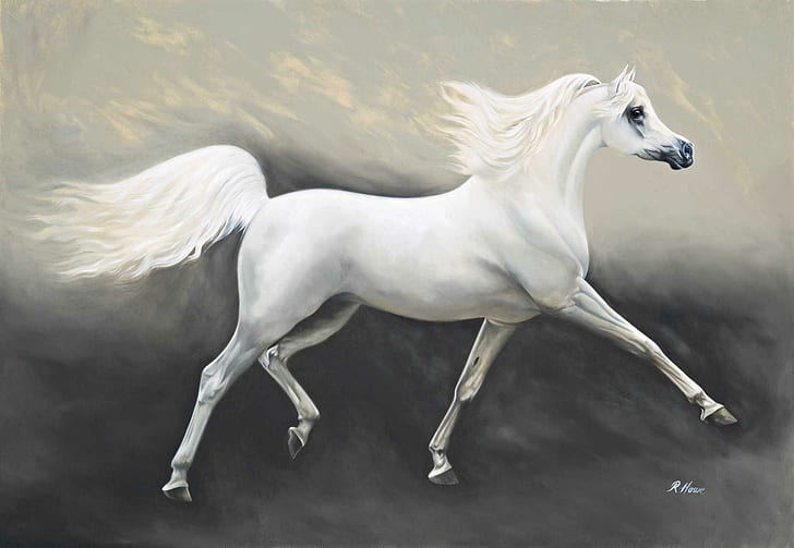 アラブ馬の絵、白い馬、馬、動物、アラビアの馬、アラブの馬、絵画、 HDデスクトップの壁紙