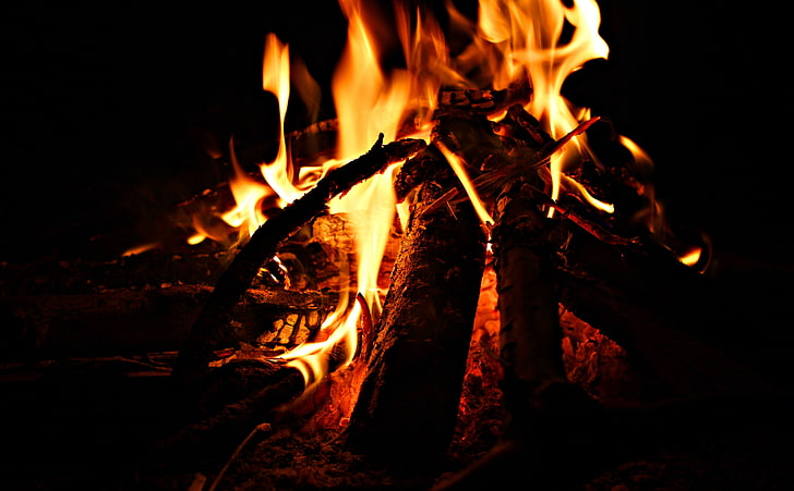 Fire, lighted bonfire, Elements, Fire, fogo, chama, flame, heat, firing, blaze, ember, fogueira, fuego, HD wallpaper