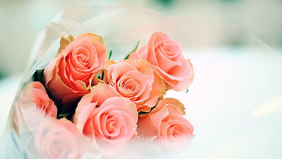 букет, роза, цвете, цветя, венчелистче, розово, цвят, флорални, рози, любов, Валентин, венчелистчета, растение, разцвет, листо, подарък, романтика, пролет, сватба, крехкост, рожден ден, декорация, романтично, цъфтеж, HD тапет HD wallpaper