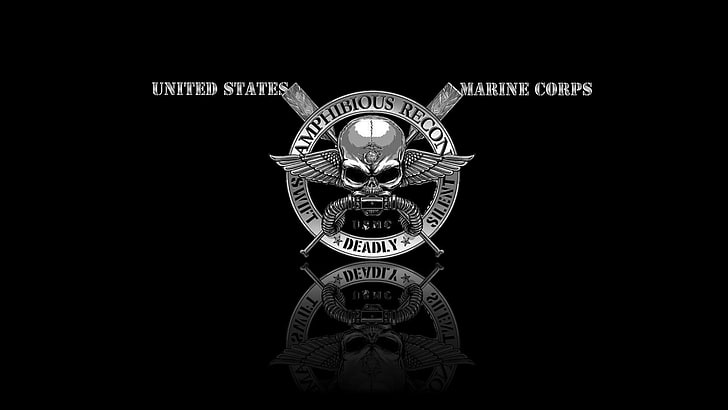 Aufklärung, Kraft, uns Marine Corps, Logo, dunkel, usmc, HD-Hintergrundbild