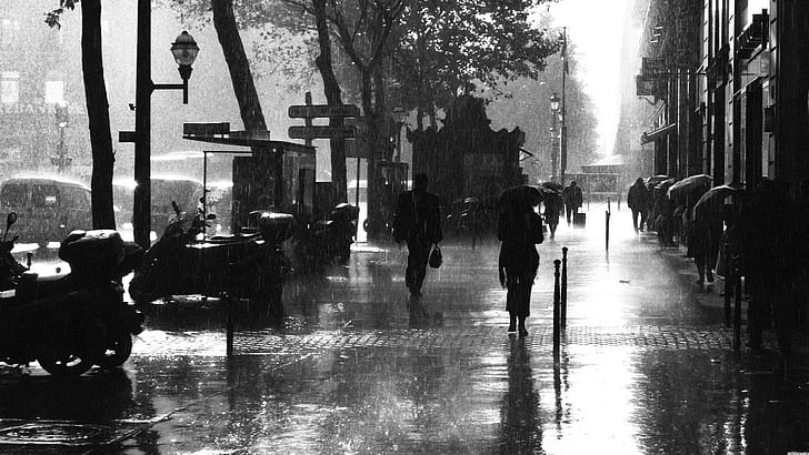 hujan, payung, noir, Wallpaper HD