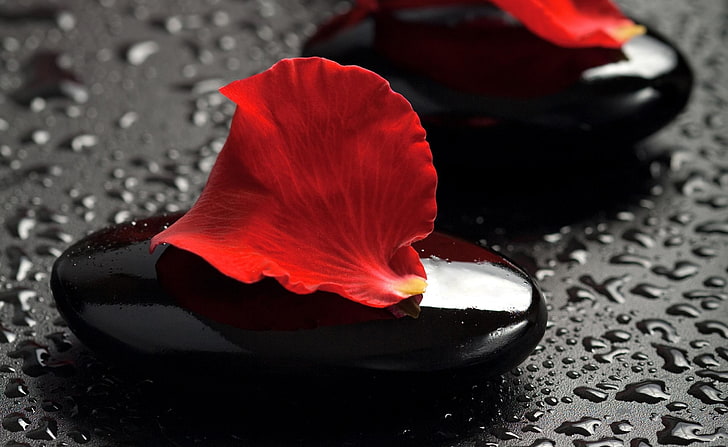 Zen Stones And Rose Petals, rote Blütenblätter und schwarze Massagesteine, Aero, Macro, Rose, Petals, Stones, Zen, HD-Hintergrundbild