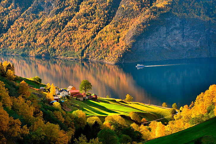 бяла и синя лодка, водно тяло и зелени дървета, природа, пейзаж, дървета, вода, Норвегия, гора, езеро, кораб, падане, поле, хълмове, къща, отражение, слънчева светлина, сянка, HD тапет