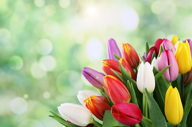 buquê de tulipas de cores sortidas, flores, buquê, primavera, tulipas, bokeh, HD papel de parede