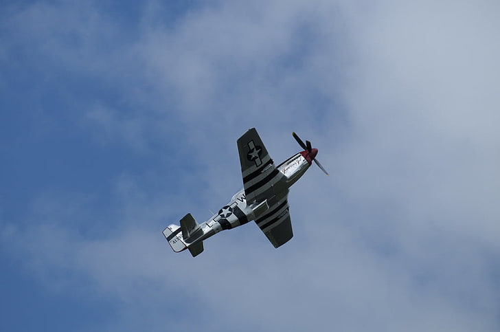 P-51 Mustang-Kampfflugzeug, graues und schwarzes Flugzeug, Flugzeuge / Flugzeuge, blau, Himmel, Flugzeug, Flugzeuge, HD-Hintergrundbild