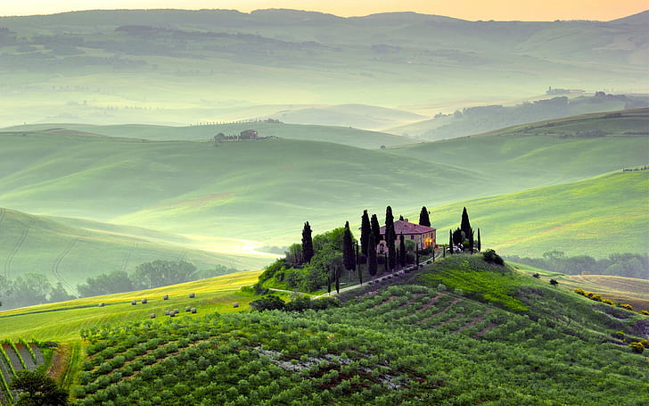 Pienza, Toskania, Włochy, wiosenna sceneria, pola, drzewa, poranek, mgła, zieleń, Pienza, Toskania, Włochy, wiosna, krajobrazy, pola, drzewa, poranek, mgła, zieleń, Tapety HD