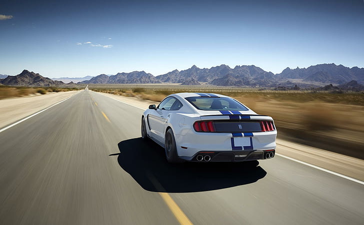 Ford Mustang 50 Year Limited Edition, 2016_shelby, car, HD wallpaper