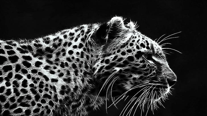 Fraktal Jaguar, kucing, abstrak, kecantikan, fantasi, Wallpaper HD
