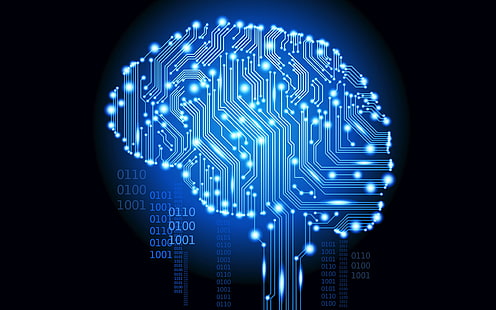 Иллюстрация системы мозга, Мозг, Цифровой, Мозг человека, Интеллект, HD обои HD wallpaper