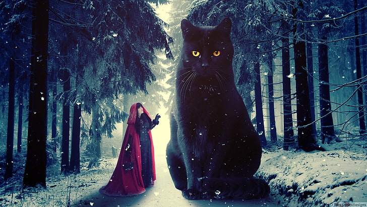 черна котка дигитален тапет, котка, сняг, зима, фото манипулация, Photoshop, дигитално изкуство, Червената шапчица, черни котки, HD тапет