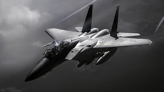 FUERZA AÉREA DE ESTADOS UNIDOS, cazabombardero, F-15E, Strike Eagle, McDonnell Douglas, doble estadounidense, Fondo de pantalla HD HD wallpaper