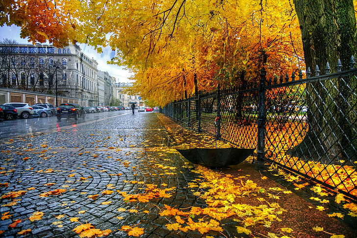 braune Ahornbäume, Herbst, Blätter, Regen, der Zaun, Regenschirm, St. Petersburg, Catherine Park, HD-Hintergrundbild
