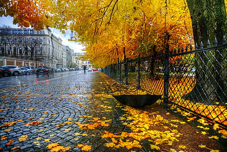 arbres à feuilles d'érable brun, automne, feuilles, pluie, la clôture, parapluie, Saint-Pétersbourg, Parc Catherine, Fond d'écran HD HD wallpaper