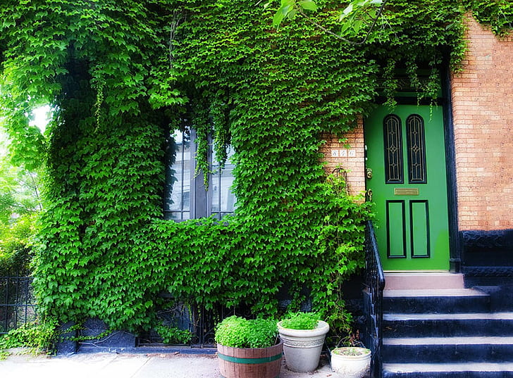 beautiful home, green plants, architecture, green, home, beautiful, houses, HD wallpaper