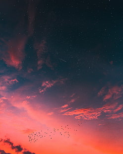 rote und schwarze abstrakte Malerei, Natur, Sonnenuntergang, nächtlicher Himmel, Sternschnuppen, lila Himmel, HD-Hintergrundbild HD wallpaper