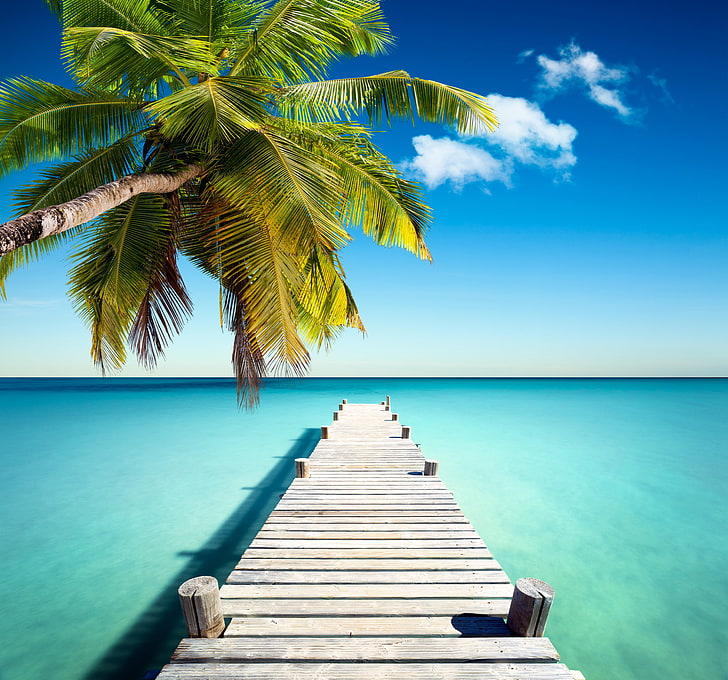 palma i brązowy drewniany pomost, piasek, morze, plaża, słońce, tropiki, ocean, brzeg, wyspa, lato, ocean, wybrzeże, niebieski, raj, molo, wakacje, tropikalny, palma, szmaragd, Tapety HD