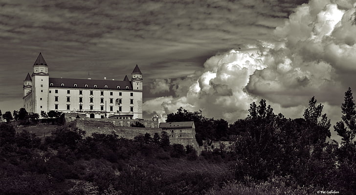 архитектура, Братислава, Словакия, замък, облаци, монохромен, растения, дървета, HD тапет