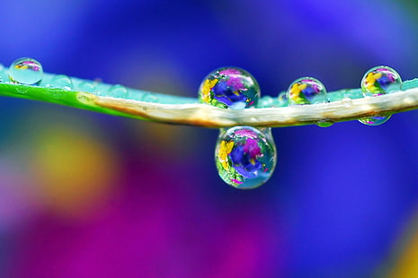 macro photography of water droplets, splash, garden, macro photography, water droplets, drops, nature, refraction, bubble, drop, backgrounds, liquid, green Color, water, close-up, macro, abstract, HD wallpaper HD wallpaper