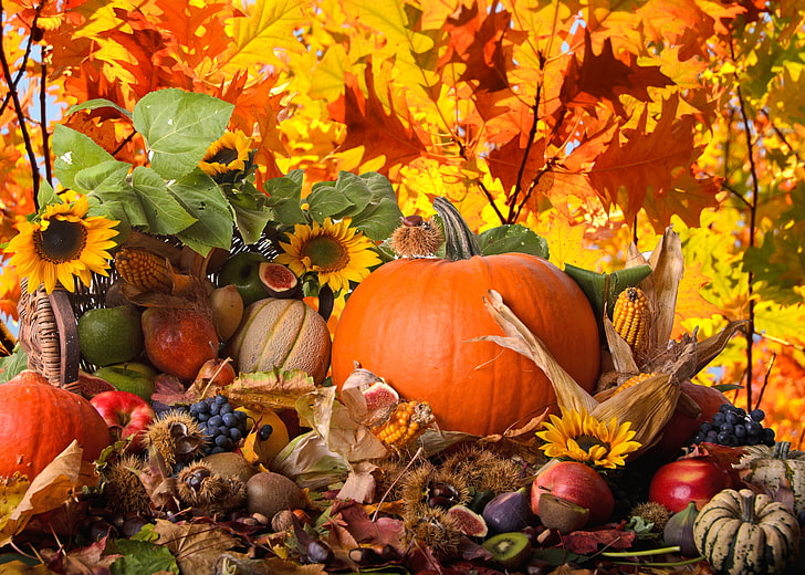 orange pumpkin, autumn, sunflowers, nature, apples, corn, kiwi, grapes, pumpkin, fruit, vegetables, pear, chestnuts, figs, HD wallpaper