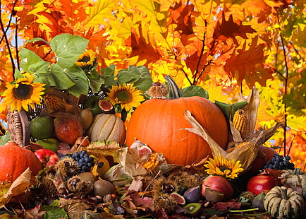 calabaza naranja, otoño, girasoles, naturaleza, manzanas, maíz, kiwi, uvas, calabaza, fruta, verduras, pera, castañas, higos, Fondo de pantalla HD HD wallpaper