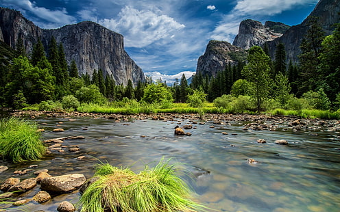 Park Narodowy Yosemite, góry Sierra Nevada, jezioro, las, drzewa, fotografia krajobrazowa, Yosemite, Narodowy, Park, Sierra, Nevada, Góry, Jezioro, Las, Drzewa, Tapety HD HD wallpaper