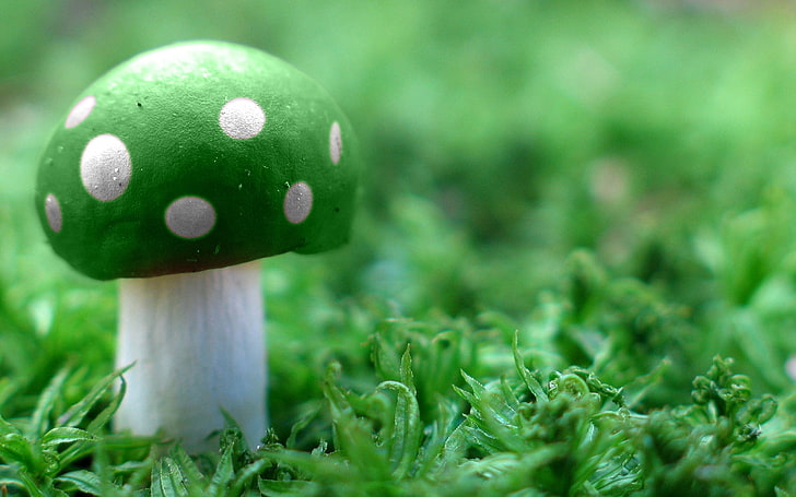 grüner Pilz auf Fotografie des selektiven Fokus der grünen Rasenfläche, Super Mario, Pilz, Grün, Videospiele, Makro, Gras, 1 oben, HD-Hintergrundbild