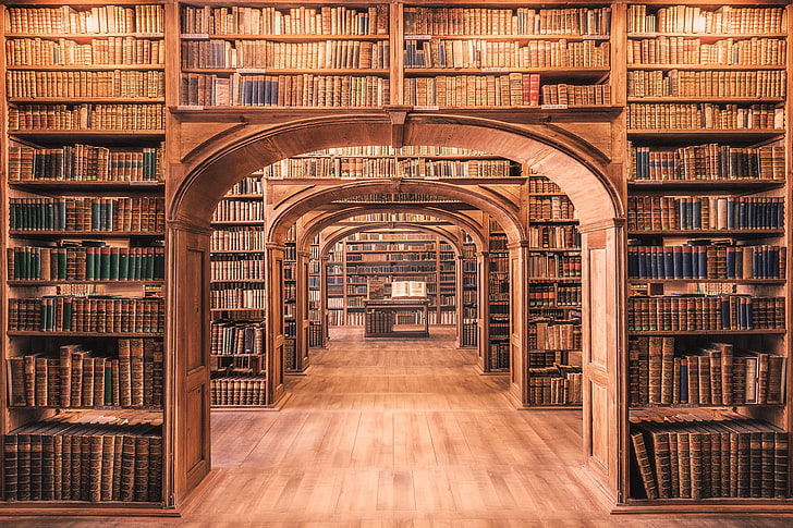 кафяви дървени библиотечни рафтове, дърво, книги, библиотека, HD тапет