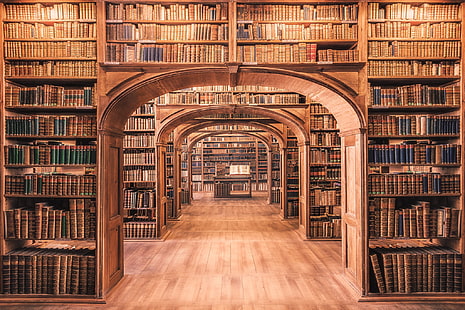 brown wooden library shelves, wood, books, library, HD wallpaper HD wallpaper