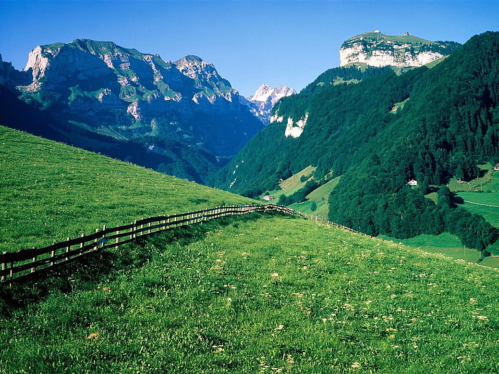 зеленая лужайка, забор, горы, склоны, луга, зелень, пастбище, деревья, швейцария, HD обои