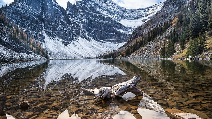 pemandangan, kayu apung, danau, salju, Wallpaper HD