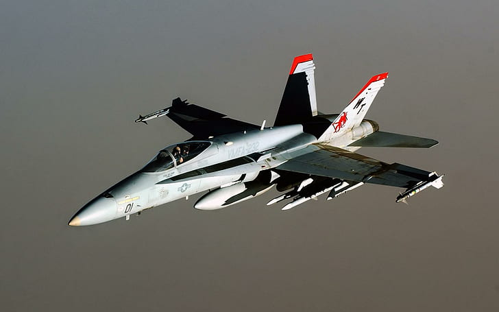 FA 18 Hornet Самолети, самолети, стършели, самолети, HD тапет