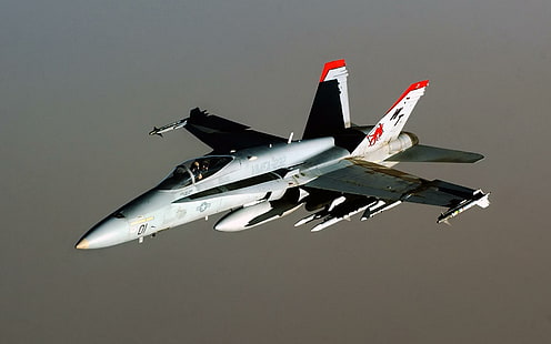 FA 18 Hornet Самолети, самолети, стършели, самолети, HD тапет HD wallpaper