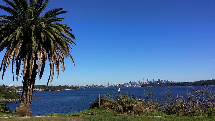 Skyline, Sommer, Sydney, Wasser, HD-Hintergrundbild