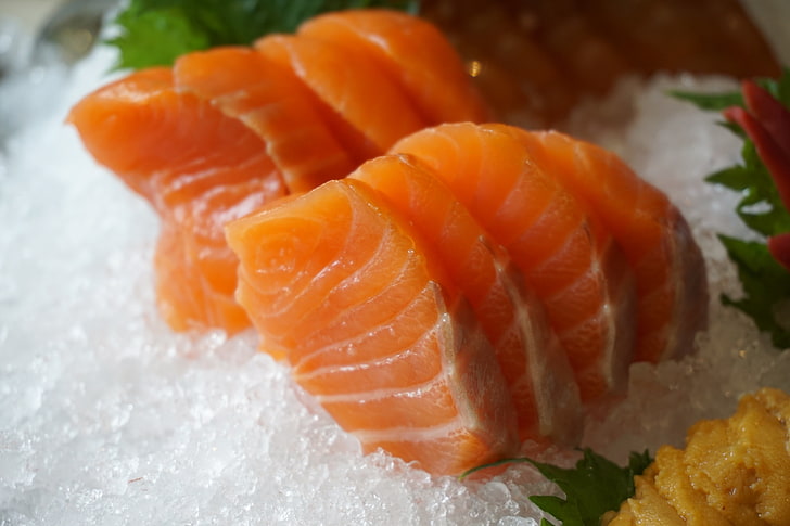 salmon fish, salmon, ice, fish, meat, sliced, HD wallpaper