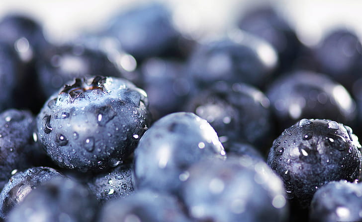 Food, Blueberry, Berry, Close-Up, Fruit, Water Drop, HD wallpaper