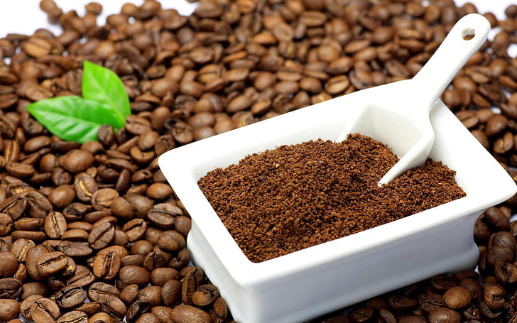 caffè, cereali, terra, foglie, Sfondo HD