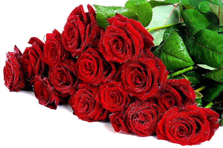 red flower bouquet, drops, flowers, romance, roses, beauty, bouquet, rose, beautiful, wet, I love you, flower, well, for you, pretty, romantic, cool, lovely, nice, red roses, because you, HD wallpaper