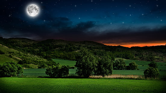 небо, природа, полная луна, луга, ночь, луг, пейзаж, поле, дерево, трава, луна, лунный свет, лунный свет, звездная ночь, звездное, ночное небо, HD обои HD wallpaper
