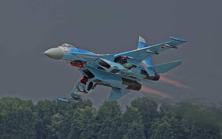forest, the rise, combat aircraft, Su-27 Flanker, HD wallpaper