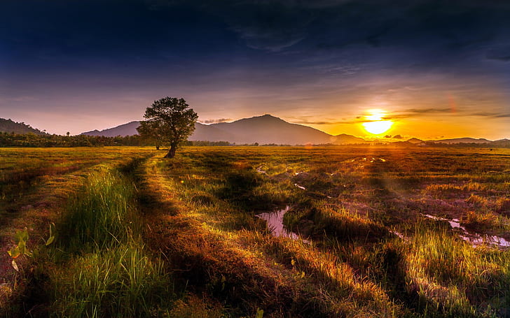 Natural Landscape, Sunset, Trees, Hills, Grass, Streams Wallpaper 2560×1600, HD wallpaper