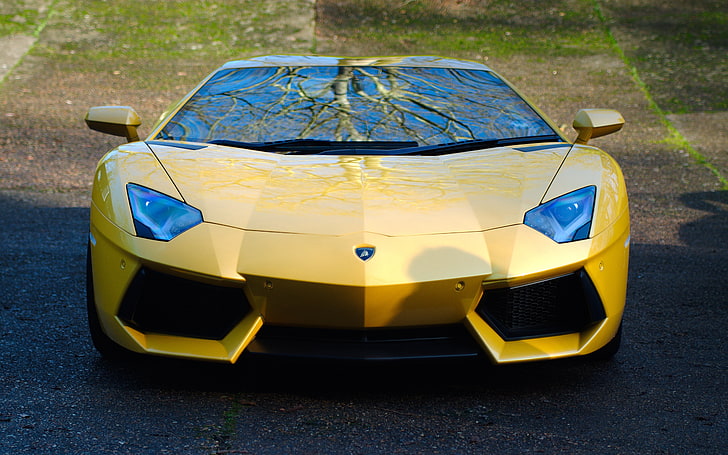 yellow Lamborghini Aventador coupe, lamborghini, aventador, lp700-4, yellow, car, front view, HD wallpaper