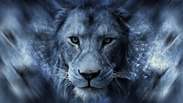 animals, big cats, Africa, digital art, blue, lion, HD wallpaper