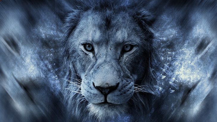 Fondo de pantalla digital de león macho, león, animales, África, azul, grandes felinos, arte digital, Fondo de pantalla HD