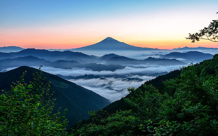 富士山、日本、山、霧、雲、木、朝、富士山、日本、山、霧、雲、木、朝、 HDデスクトップの壁紙