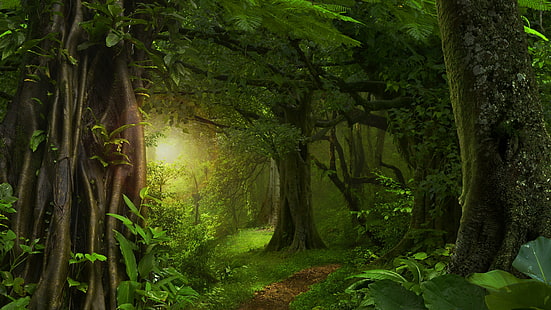 vegetation, forest, nature, green forest, woodland, forest path, woods, path, sunlight, tree, green leaves, flora, green, HD wallpaper HD wallpaper