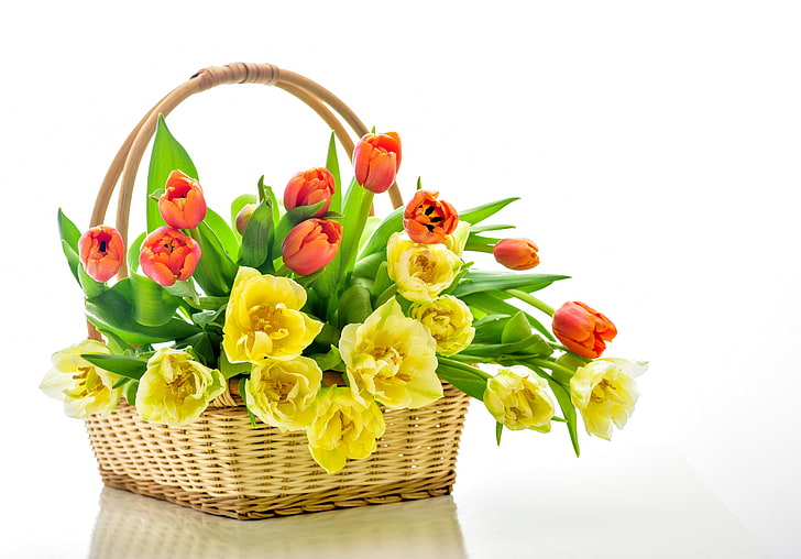 flower basket, tulip, yellow, orange, Flowers, HD wallpaper