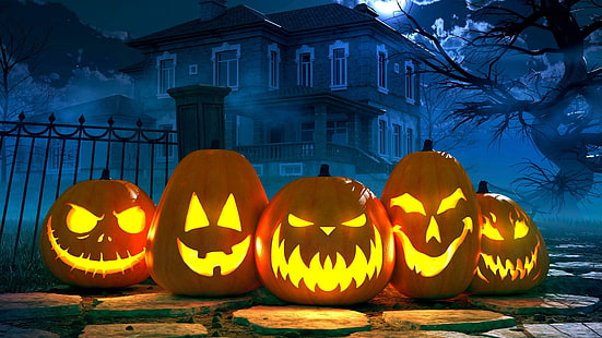 pumpkin, halloween, jack o lantern, jack o lanterns, HD wallpaper HD wallpaper