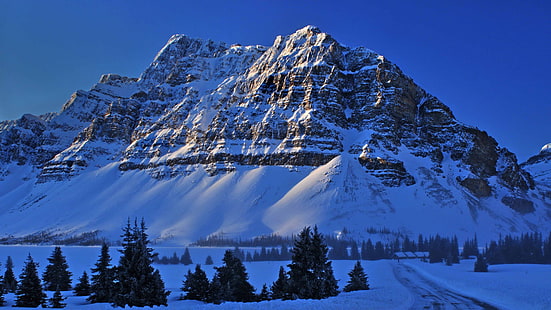 karla kaplı dağ, dağlar, doğa, manzara, ağaçlar, kar, Kanada, Rocky Dağları, HD masaüstü duvar kağıdı HD wallpaper
