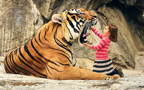 orange tiger, humor, animals, tiger, open mouth, muzzles, wild cat, children, dangerous, photo manipulation, fangs, striped clothing, tongues, HD wallpaper HD wallpaper