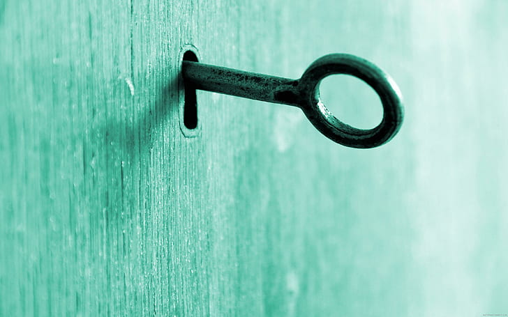 Key on a wooden door, stainless steel key, key, door, wood, secret, diverse, HD wallpaper